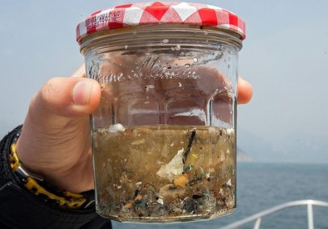 如果知道海洋中的塑料垃圾會進入人類肚子，你還會丟嗎？