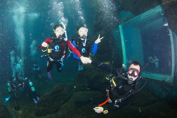 12/12正式上線！PADI 最新課程【休閑潛水員Resort Diver】 丨 一天拿證，潛遍全球