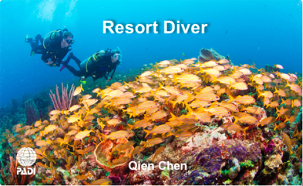 12/12正式上線！PADI 最新課程【休閑潛水員Resort Diver】 丨 一天拿證，潛遍全球
