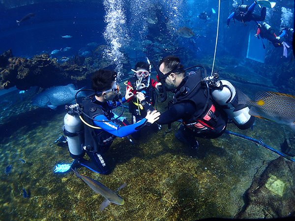 12/12正式上線！PADI 最新課程【休閑潛水員Resort Diver】 丨 一天拿證，潛遍全球