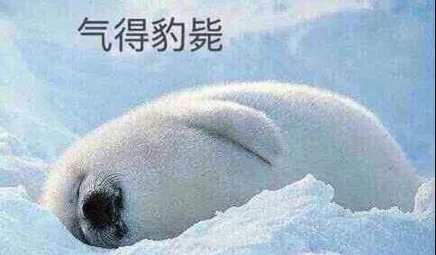 原來你是這樣的潛水員妹子！